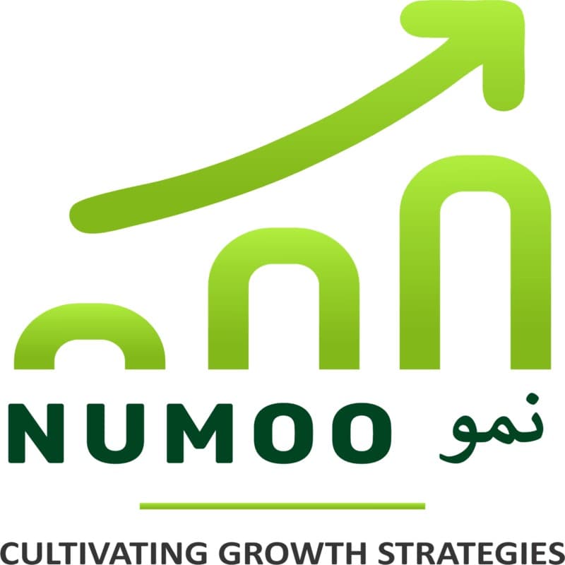 Numoo Accounting & Management S client logo